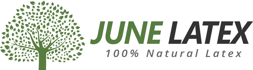 June Latex Logo